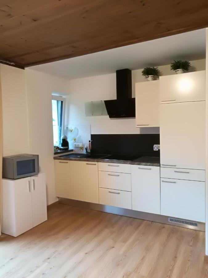 Gemuetliche Wohnung 10 Minuten Vom See Entfernt Zell am See Bagian luar foto